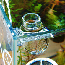 Load image into Gallery viewer, Glass Feeding Food Cup Plant Cup Brine Shrimp Live Red Worm Fish Red Worm Fish Feeder For Aquarium With Seam  Small Tropical
