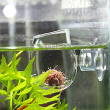 Load image into Gallery viewer, Glass Feeding Cup Fish Tank Feeder Brine Shrimp Eggs Red Worms Food For Aquarium
